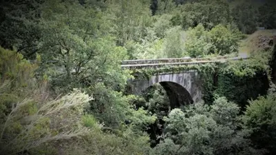 a bridge in the middle of a forest of trees at Casa Otero in Serode