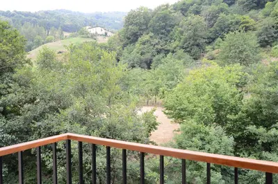 a balcony with a view of a forest at Apartamentos el Rincon de Limes in Cangas del Narcea