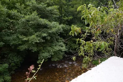 a garden with trees and a stream at Apartamentos el Rincon de Limes in Cangas del Narcea