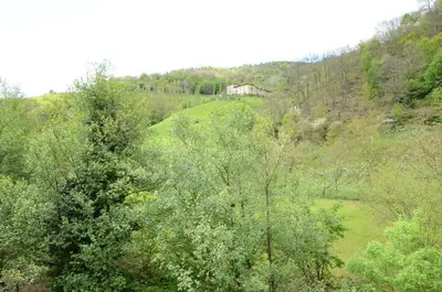 a view of a hill with trees and a house at Apartamentos el Rincon de Limes in Cangas del Narcea