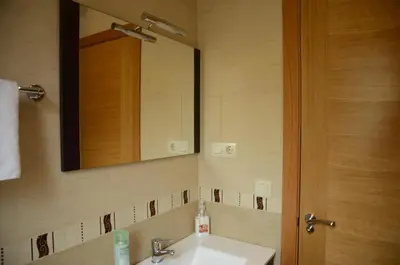 a bathroom with a sink and a mirror at Apartamentos el Rincon de Limes in Cangas del Narcea