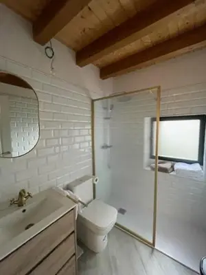 a bathroom with a toilet and a sink and a mirror at La Higuera in Cacabelos
