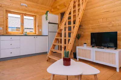 a living room with a ladder in a log cabin at Cabañas de Allariz - Cabaña 2 in Allariz