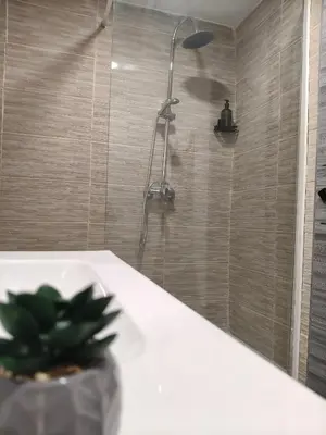 a bathroom with a shower with a plant on a counter at Casa de Pedra in Melide