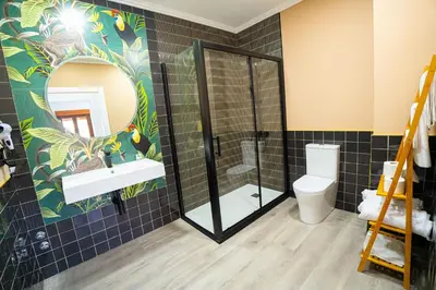 a bathroom with a shower and a toilet and a mirror at Chuspombo Apartamentos in Baralla