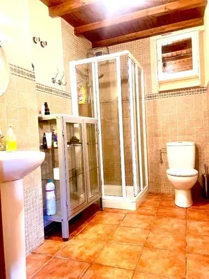 a bathroom with a shower and a toilet at Refugio del Camino in Albá