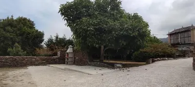 a tree next to a stone wall with a bird house at Costa A Mariña in Barreiros