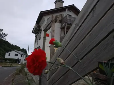 an old building with a red flower on the side of it at Xulia in Viavélez