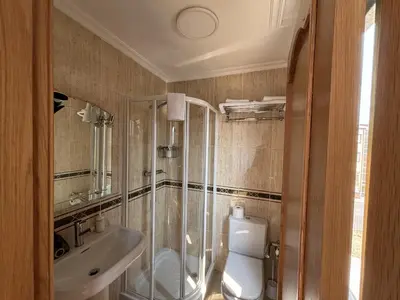 a bathroom with a shower and a toilet and a sink at Ribeira Sacra Suites in Nogueira de Ramuin