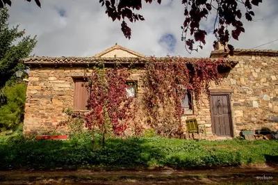 an old stone house with ivy growing on it at Casa Somoza in Castrillo De Los Polvazares