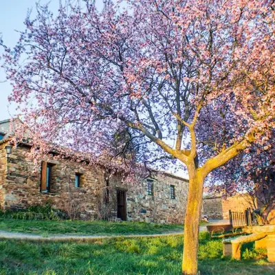 Casa Somoza