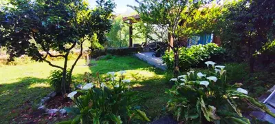 a garden with trees and flowers in a yard at Casa mañoso in Cea