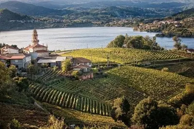 an aerial view of a vineyard with a church and water at O Recuncho do Lito