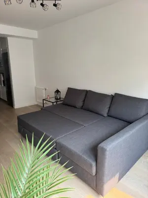 a gray couch in a living room with a plant at Civitas Augusta in Lugo