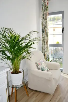 a living room with a chair and a potted plant at Encanto de Oscos in San Martín de Oscos