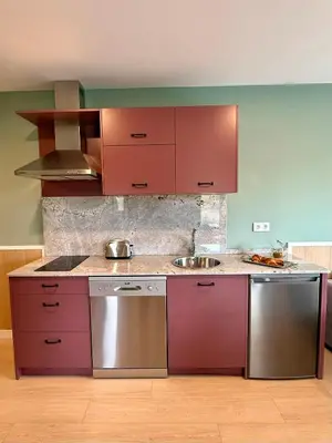 a kitchen with red cabinets and stainless steel appliances at Luxury Singular Blue in Santiago de Compostela