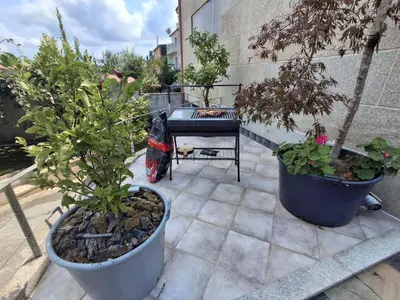 two potted plants sitting on a patio with a table at La casa de Teresa in Santiago de Compostela