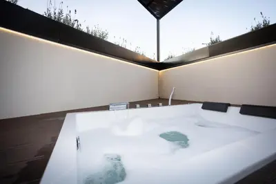 a bath tub with two turtles sitting in it at Dorian Suites in Monforte de Lemos