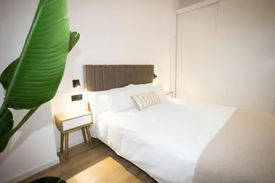 a bedroom with a white bed and a plant at Dorian Suites in Monforte de Lemos