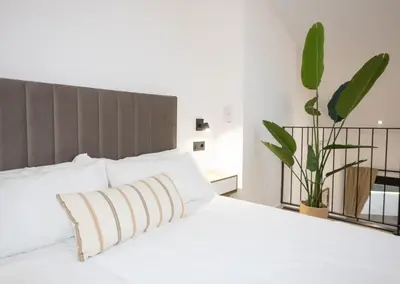 a bedroom with a white bed and a plant at Dorian Suites in Monforte de Lemos