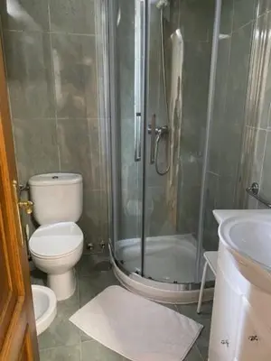 a bathroom with a shower and a toilet and a sink at Entrepraciñas A in Santiago de Compostela