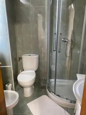 a bathroom with a toilet and a shower and a sink at Entrepraciñas A in Santiago de Compostela