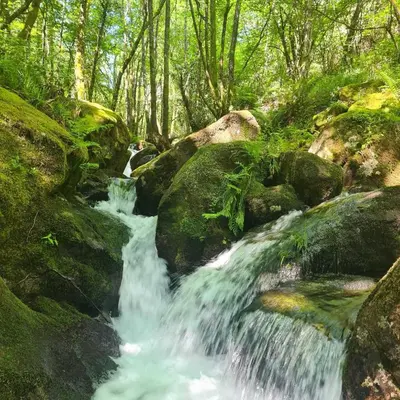 a waterfall in a forest with rocks and trees at Villa Mallorquina tu zona para desconectar