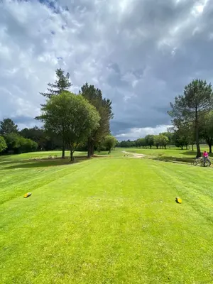 a field of green grass with trees in the distance at Casa Aldea de Piñeiro, Turismo Rural Padrón by URent in Padrón