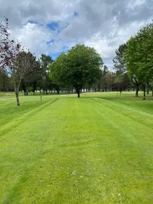 a large grass field with trees in a park at Casa Aldea de Piñeiro, Turismo Rural Padrón by URent in Padrón