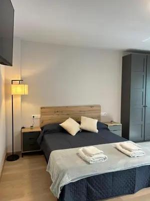 a bedroom with a large bed and a television at Apartamento Alba 1.1 in Lugo
