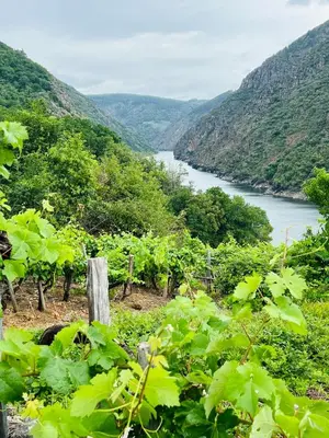 a view of a river from a vineyard at Chulavista House by Kev in Parada del Sil