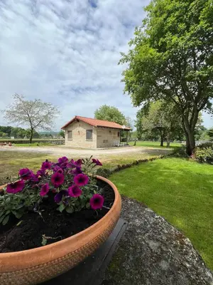 a flower pot with purple flowers in a yard at Vilaboa Paradise in Villanueva