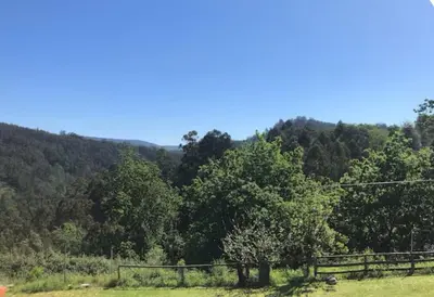 a field with a fence and trees in the background at Cafú Casita in Coirós