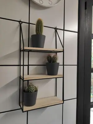 a shelf with cactus plants on it against a wall at MeraVilla in Oleiros
