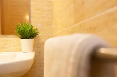 a bathroom with a toilet and a potted plant at Apartagal-Océano V Barreiros in Barreiros