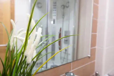 a bathroom with a mirror and a plant at Apartagal-Océano V Barreiros in Barreiros