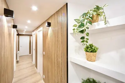 a hallway with white walls and white shelves with plants at Train Station by Lugo Collection in Lugo