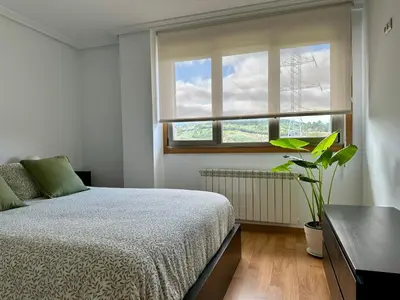 a bedroom with a bed and a window and a plant at A Gandarela in Ribadavia