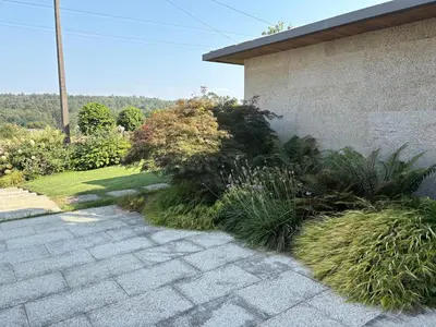 a garden with plants next to a building at Relax in Santiago de Compostela in Vedra
