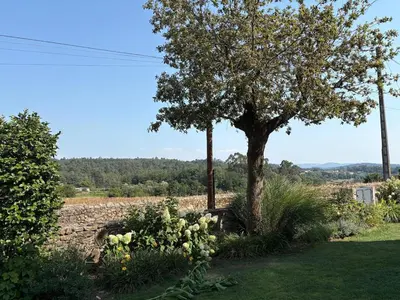 a tree and some flowers in a yard at Relax in Santiago de Compostela in Vedra