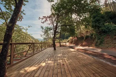 a wooden bridge with a tree on a road at Pincelo Nature in Pincelo