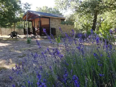 a field of purple flowers in front of a cabin at Cabañas Vallecino in Manzanal de los Infantes