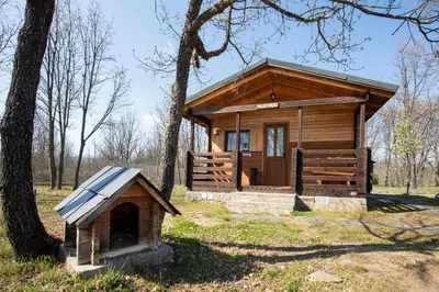 a small wooden cabin with a dog house in a field at Cabañas Vallecino in Manzanal de los Infantes