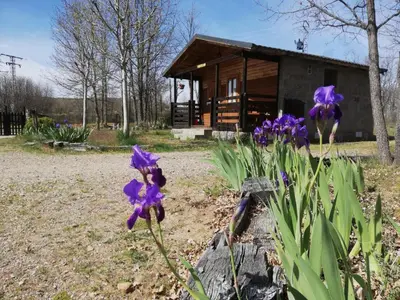 a house with purple flowers in front of it at Cabañas Vallecino in Manzanal de los Infantes