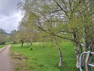a field with trees and a dirt road at Casa María in Baltar