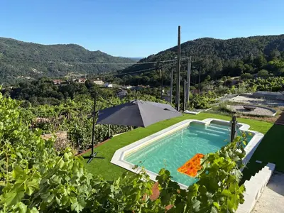 an outdoor swimming pool in a vineyard with an umbrella at Wine Lodge Ribeira Sacra in Carracedo