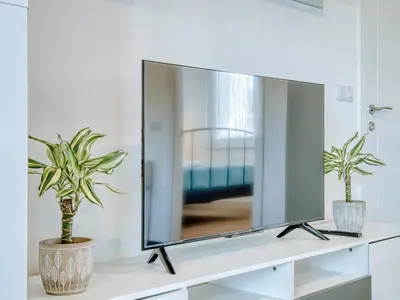 a television on a white shelf with two plants at Aida's Apartments in Puentes de García Rodríguez