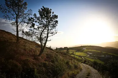 a dirt road on a hill with trees on it at Casa Xabú in El Vallin
