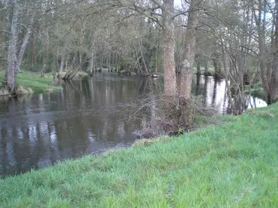 a stream of water with trees and grass on the side at Casa Grande de Anllo in Sistallo