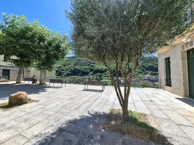 a tree in the middle of a courtyard with benches at O Enxido - Vive dentro de la muralla de Ribadavia in Ribadavia